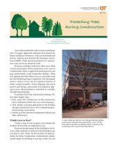 book Protecting trees during construction