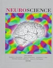 book Neuroscience