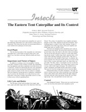 book The eastern tent caterpillar