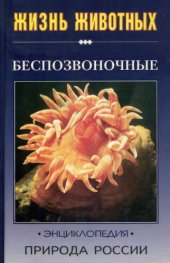 book Жизнь животных. Природа России : Беспозвоночные : Энциклопедия