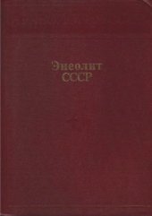 book Энеолит СССР