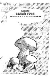 book Белый гриб - экология и плодоношение [Препр. докл.]