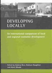 book Developing locally : an international comparison of local and regional economic development