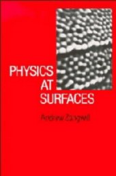 book Physics at Surfaces