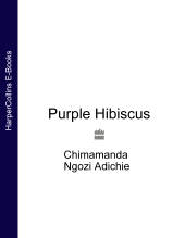 book Purple Hibiscus