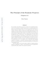 book The Principle of the Fermionic Projector (online edition)