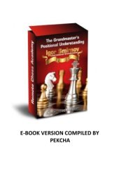 book The Grandmaster's Positional Understanding