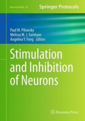 book Stimulation and Inhibition of Neurons