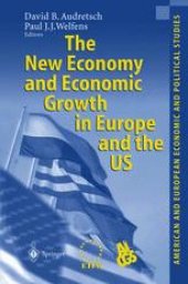 book The New Economy and Economic Growth in Europe and the US