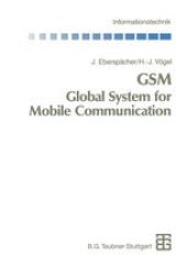 book GSM Global System for Mobile Communication: Vermittlung, Dienste und Protokolle in digitalen Mobilfunknetzen