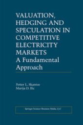 book Valuation, Hedging and Speculation in Competitive Electricity Markets: A Fundamental Approach