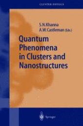 book Quantum Phenomena in Clusters and Nanostructures