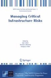 book Managing Critical Infrastructure Risks: Decision Tools and Applications for Port Security