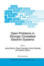 book Open Problems in Strongly Correlated Electron Systems