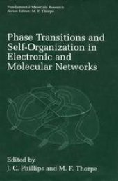 book Phase Transitions and Self-Organization in Electronic and Molecular Networks