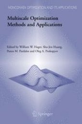 book Multiscale Optimization Methods and Applications