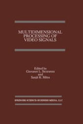 book Multidimensional Processing of Video Signals