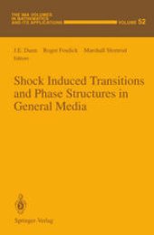 book Shock Induced Transitions and Phase Structures in General Media