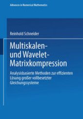 book Multiskalen- und Wavelet-Matrixkompression: Analysisbasierte Methoden zur effizienten Lösung großer vollbesetzter Gleichungssysteme