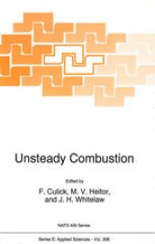 book Unsteady Combustion