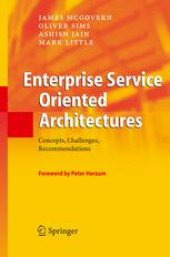 book Enterprise Service Oriented Architectures: Concepts, Challenges, Recommendations