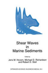 book Shear Waves in Marine Sediments