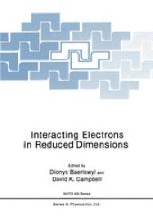 book Interacting Electrons in Reduced Dimensions