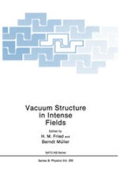 book Vacuum Structure in Intense Fields