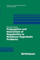 book Propagation and Interaction of Singularities in Nonlinear Hyperbolic Problems