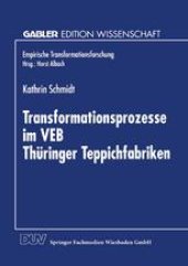 book Transformationsprozesse im VEB Thüringer Teppichfabriken