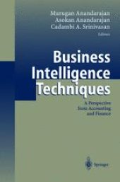 book Business Intelligence Techniques: A Perspective from Accounting and Finance