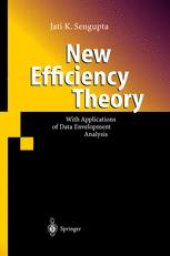 book New Efficiency Theory: With Applications of Data Envelopment Analysis