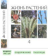 book Мхи, плауны, хвощи, папортники, голосеменные растения