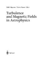 book Turbulence and Magnetic Fields in Astrophysics