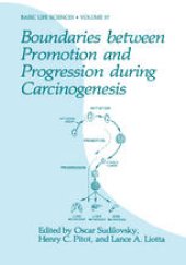 book Boundaries between Promotion and Progression during Carcinogenesis