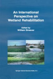 book An International Perspective on Wetland Rehabilitation