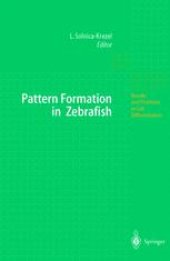 book Pattern Formation in Zebrafish