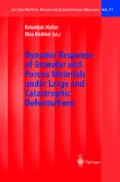 book Dynamic Response of Granular and Porous Materials under Large and Catastrophic Deformations