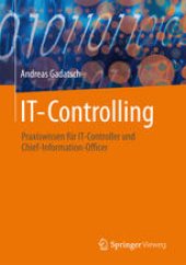 book IT-Controlling: Praxiswissen fur IT-Controller und Chief-Information-Officer