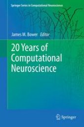 book 20 Years of Computational Neuroscience