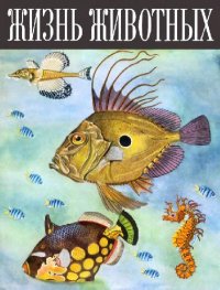 cover of the book Жизнь животных