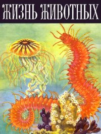 cover of the book Жизнь животных