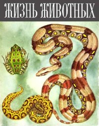 cover of the book Жизнь животных