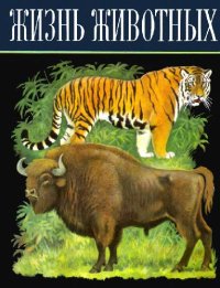 cover of the book Жизнь животных