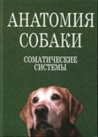 cover of the book Анатомия собаки. Соматические системы