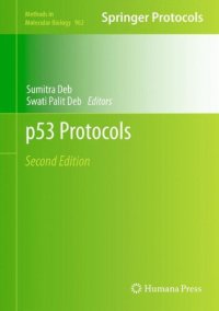 cover of the book p53 Protocols