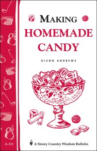 cover of the book Making homemade candy