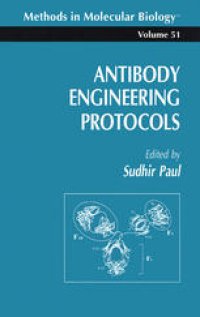 cover of the book Antibody Engineering Protocols