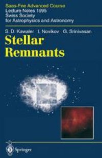 cover of the book Stellar Remnants