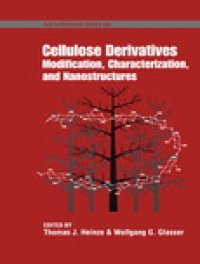 cover of the book Cellulose Derivatives. Modification, Characterization, and Nanostructures